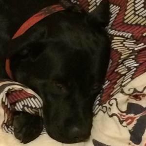 Meet your Posher, Ricky